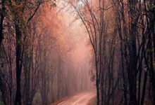 DB game-圣火下的王权之争：C罗单骑挑红军，金球暗战撼动奥运之巅