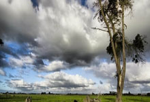 DB game-圣火下的王权之争：C罗单骑挑红军，金球暗战撼动奥运之巅