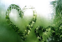 DB game-中国队逆转法国队，安赛龙统治全场