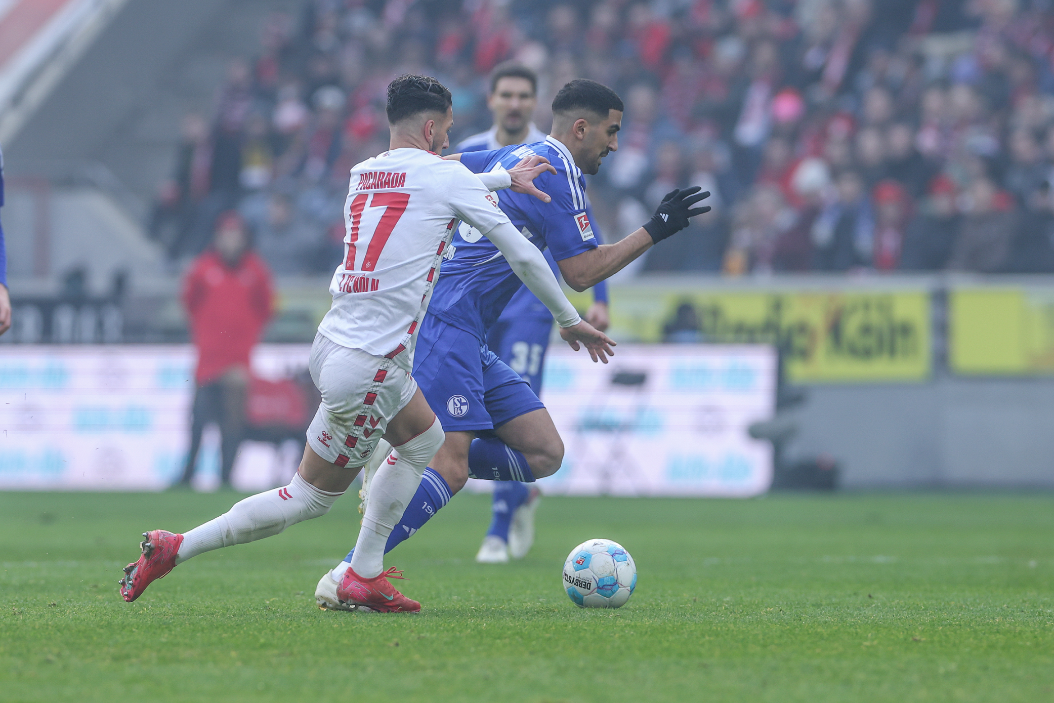 沙尔克04防守锋线不无稽执意，赢足主场比赛